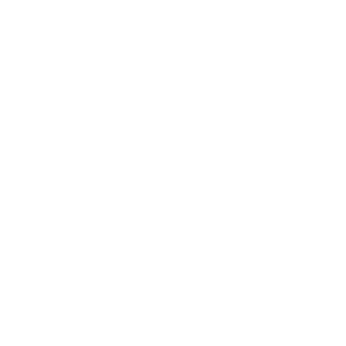 Dru logo
